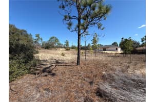 6725 KILLINGER TERRACE, CITRUS SPRINGS, FL 34433 - MLS#MFRO6386848