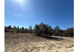 6725 KILLINGER TERRACE, CITRUS SPRINGS, FL 34433 - MLS#MFRO6386848