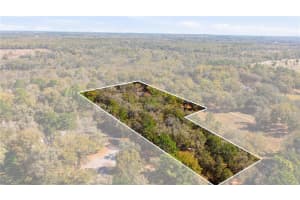 19 NORTHERN DANCER DRIVE, OCALA, FL 34482 - MLS#MFRO6386958