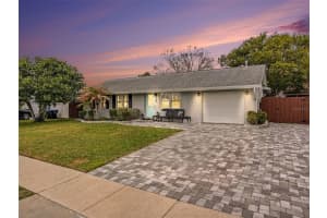 2327 Greenbush Ct, ORLANDO