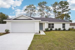 1161 VIRGINIS DRIVE, CITRUS SPRINGS, FL 34434 - MLS#MFRO6387145