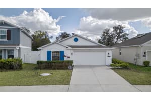 6922 Perch Hammock Loop, GROVELAND