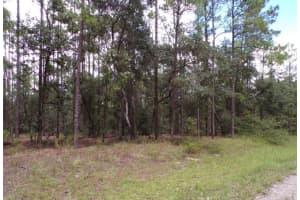 617 MARQUETTE LANE, DUNNELLON, FL 34434 - MLS#MFRO6387196