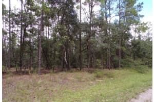 617 MARQUETTE LANE, DUNNELLON, FL 34434 - MLS#MFRO6387196
