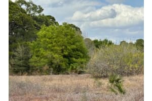 612 TWILIGHT DRIVE, LAKE PLACID, FL 33852 - MLS#MFRO6387202