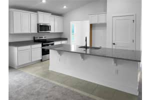 275 VERNY GROVE LANE, LEESBURG, FL 34748 - MLS#MFRO6387258