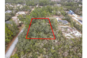 BALSAM ST, EUSTIS, FL 32736 - MLS#MFRO6387410