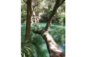 120 HIBISCUS WOODS COURT, DELTONA, FL 32725 - MLS#MFRO6387419