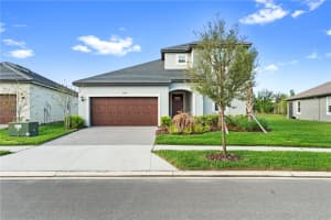 31740 GRIFFIN SANDS LANE, SAN ANTONIO, FL 33576 - MLS#MFRO6387492