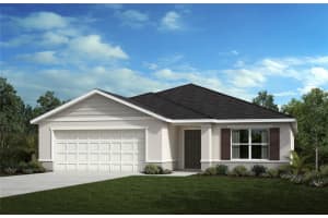 11682 Firespike St, RIVERVIEW