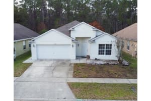 1902 Palmetto Pine Ln, ORLANDO