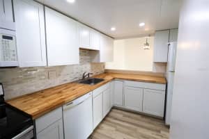 2913 LICHEN LANE, CLEARWATER, FL 33760 - MLS#MFRO6387523