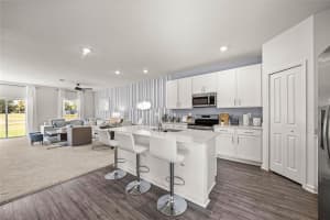 MLS# MFRO6387598, Ocala, Florida 34476