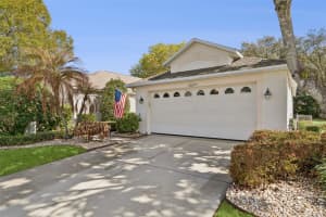 8002 ARCADIAN COURT, MOUNT DORA, FL 32757 - MLS#MFRO6387602