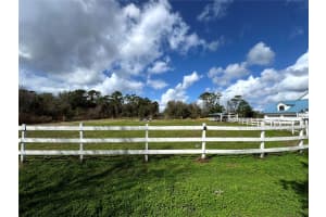 31243 BEAR POND DRIVE, SORRENTO, FL 32776 - MLS#MFRO6387727