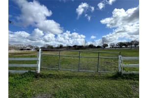 31243 BEAR POND DRIVE, SORRENTO, FL 32776 - MLS#MFRO6387727