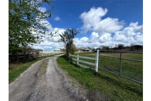 31243 BEAR POND DRIVE, SORRENTO, FL 32776 - MLS#MFRO6387727