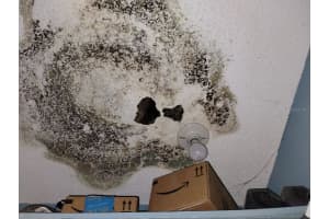 800 NICOLE BOULEVARD, OCOEE, FL 34761 - MLS#MFRO6387805