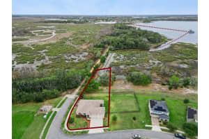 735 BLACK EAGLE DRIVE, GROVELAND, FL 34736 - MLS#MFRO6387825