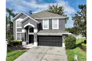 4129 TARKINGTON DRIVE, LAND O LAKES, FL 34639 - MLS#MFRO6387858