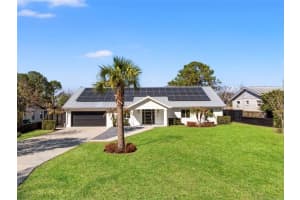 1021 TEMPLE GROVE PLACE, WINTER GARDEN, FL 34787 - MLS#MFRO6387876