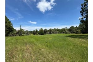 4300 JUSTA ROAD, MIMS, FL 32754 - MLS#MFRO6387999