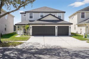 20054 Nob Oak Ave, TAMPA