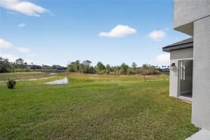 20054 NOB OAK AVENUE, TAMPA, FL 33647 - MLS#MFRO6388056