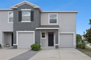 8501 Falling Blue Pl, RIVERVIEW