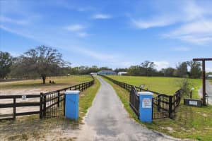 12524 109TH PLACE, DUNNELLON, FL 34432 - MLS#MFRO6388172