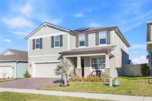2985 AMBERSWEET PLACE, CLERMONT, FL 34711 - MLS#MFRO6388201