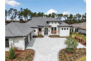 16130 PENDIO DRIVE, BELLA COLLINA, FL 34756 - MLS#MFRO6388214