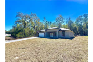 1952 BEACH PLUM DRIVE, CITRUS SPRINGS, FL 34434 - MLS#MFRO6388287