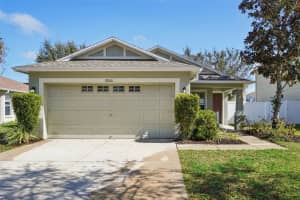 19001 Quarry Badger Rd, LAND O LAKES