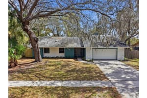 8315 CAMPHOR TREE DRIVE, ORLANDO, FL 32810 - MLS#MFRO6388418