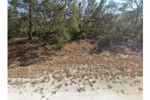 3218 GOSSAMER AVENUE, LAKE PLACID, FL 33852 - MLS#MFRO6388515