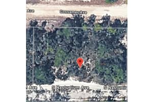 3218 GOSSAMER AVENUE, LAKE PLACID, FL 33852 - MLS#MFRO6388515