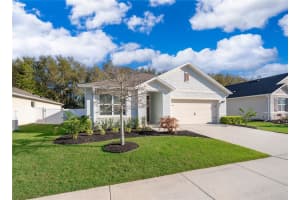 3102 BETHPAGE LOOP, MOUNT DORA, FL 32757 - MLS#MFRO6388583