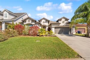 204 BENGAL CIRCLE, OLDSMAR, FL 34677 - MLS#MFRO6388593