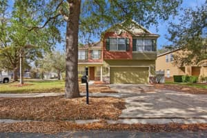 11125 RUNNING PINE DRIVE, RIVERVIEW, FL 33569 - MLS#MFRO6388628