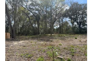 114 CLEVELAND STREET, APOPKA, FL 32703 - MLS#MFRO6388637