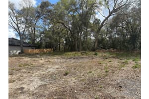 114 CLEVELAND STREET, APOPKA, FL 32703 - MLS#MFRO6388637