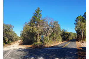 0 124TH COURT, DUNNELLON, FL 34431 - MLS#MFRO6388687