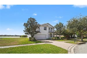 9033 SIENNA MOSS LANE, RIVERVIEW, FL 33578 - MLS#MFRO6388720