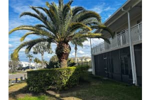 8802 BAY POINTE DRIVE, TAMPA, FL 33615 - MLS#MFRO6388747