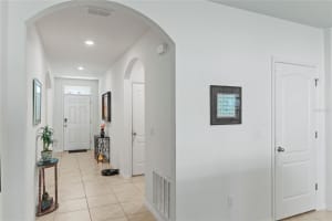 3817 HEARTLEAF LANE, MOUNT DORA, FL 32757 - MLS#MFRO6388781