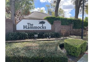 1007 FEATHERSTONE CIRCLE, OCOEE, FL 34761 - MLS#MFRO6388875