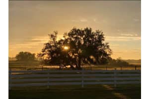 4015 INDIGO ROAD, GROVELAND, FL 34736 - MLS#MFRO6388937