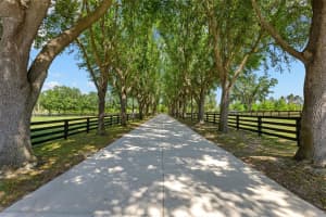 9751 QUIET LANE, WINTER GARDEN, FL 34787 - MLS#MFRO6389101