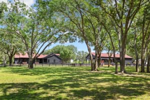 9751 QUIET LANE, WINTER GARDEN, FL 34787 - MLS#MFRO6389101